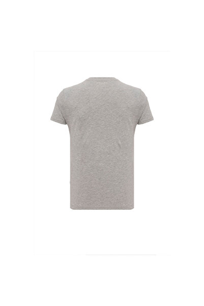 ROUTEFIELD Thane Erkek Gri Tişört ERKEK T-SHIRT RFTHANE25