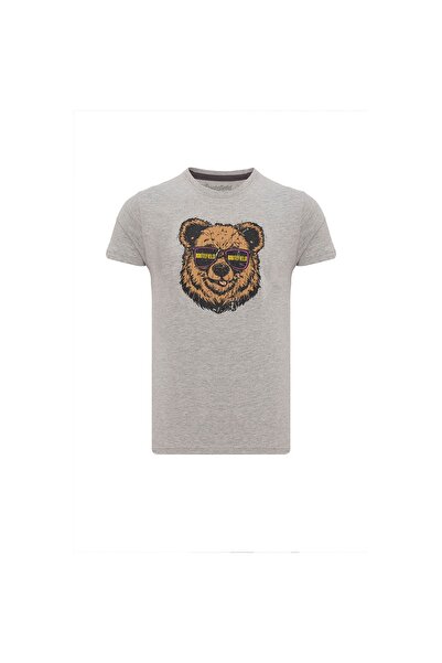 ROUTEFIELD Tassilo Men's Gray T-Shirt Men's T-Shirt Rftassilo25
