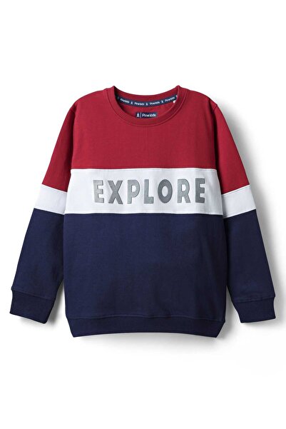 Pine kids سويت شيرت قطني محبوك بأكمام طويلة مع طباعة نصية - أحمر وأزرق داكن