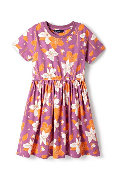 Pine kids Cotton Knit Half Sleeves Frock With Floral Print - Fuchsia