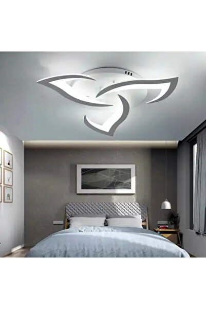 LED CONCEPT LED chandelier with 3 types of light and remote control, white, round, 54W, dimmable, 58x58x8cm