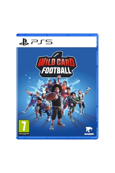 Saber Interactive Inc Wild Card Football for PlayStation 5