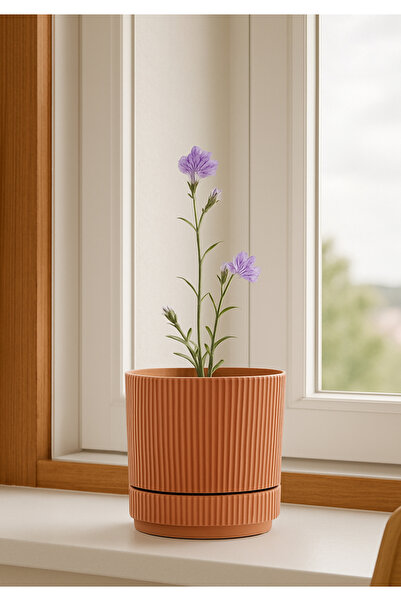 HOMİNG Oval Somon Rengi Mini Saksı 242205