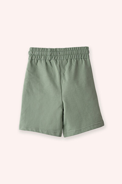 Panço Erkek Çocuk Yazı Detaylı Yeşil Şort