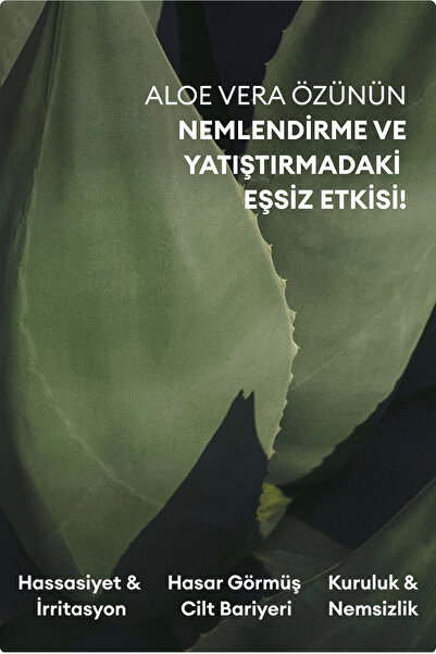 Ariul 7 Days Mask Aloe H - Nemlendirici & Yatıştırıcı Aloe Vera Vegan Kağıt Maske
