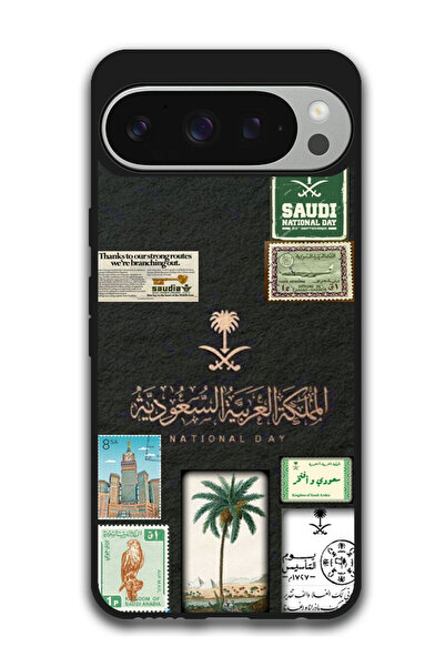 Theodor غطاء حماية مضاد للخدش والصدمات لهاتف جوجل بيكسل 9 برو بمناسبة اليوم ا...