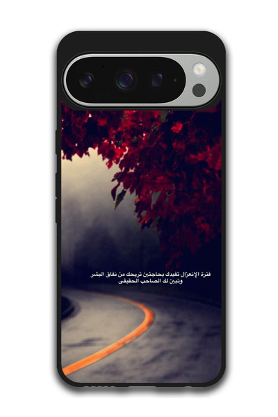 Theodor جراب حماية مضاد للخدش والصدمات لهاتف جوجل بيكسل 9 برو