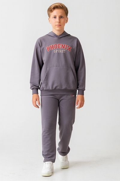 AHENGİM Boys Phoenix Sprit Printed Bottom Top Tracksuit Set Ak7870