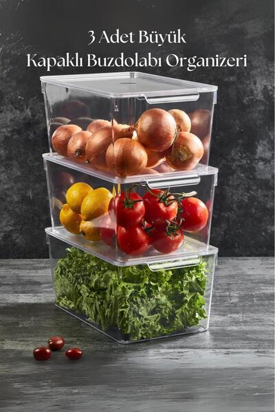 EWs 3-Piece Covered Refrigerator Organizer & Refrigerator Organizer 6 Lt