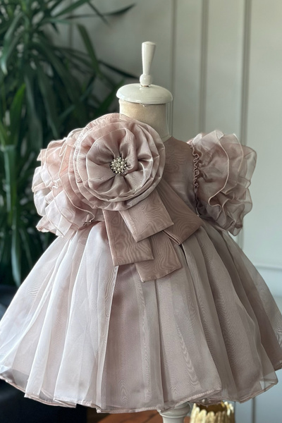 Mialora Special Design Girl's Dress, Flower and Pearl Detail, Ruffle Sleeves, Crown Accessories
