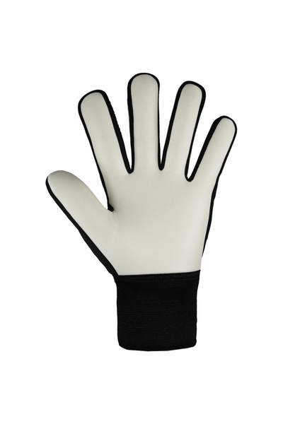 Reusch Manusi portar Attrakt Starter Solid