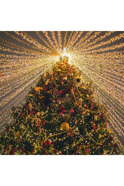 SDX Market Instalație de Crăciun 8 m x 1 m, Cortină/Ploaie, Alb Cald, 384 LED...