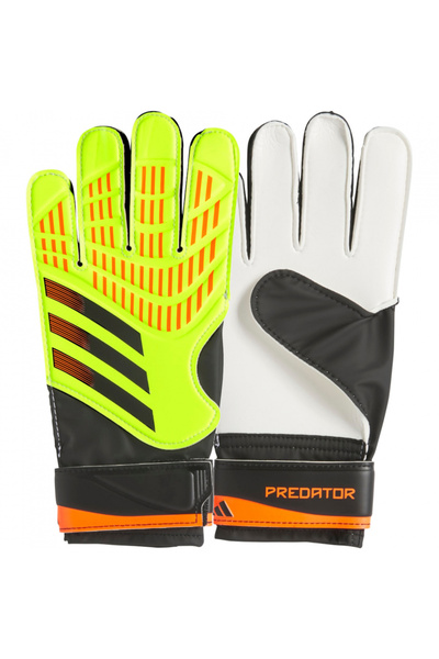 adidas Manusi portar Predator Training