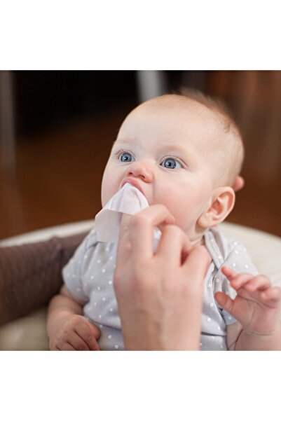 erorex Tooth And Gum Wipes 30 Count 3 Pack