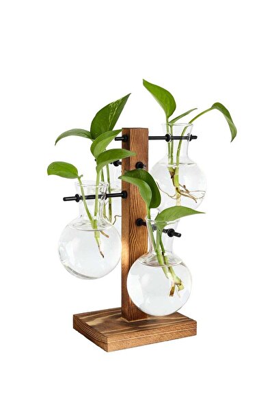 Generic Desktop Glass Flower Pot Vase with Retro Solid Wood Small Bench Frame...