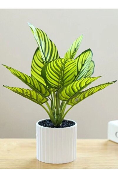 Generic 1 Piece Simulation Potted Decorative Artificial Bonsai Plant Green Le...