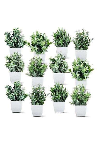 Generic Artificial Potted Plants Set of 12 | Small Faux Eucalyptus Plastic Ho...