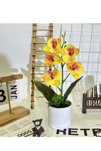 Generic Artificial Flowers Butterfly Orchid Potted Artificial Plant Bonsai Su...