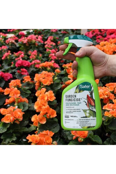 safer Brand 5450-6 Garden Fungicide Ready to Use 32 Ounces