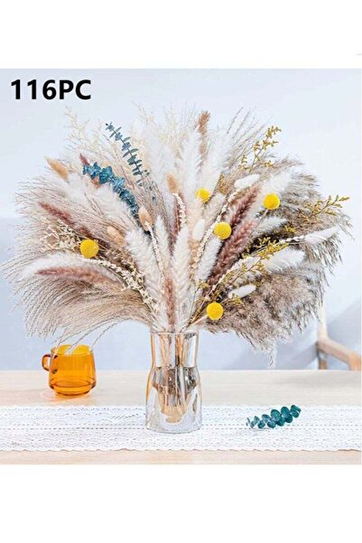 Generic 116-Piece Natural Pampas Grass Decor 46cm Dried Flowers For Decoratio...