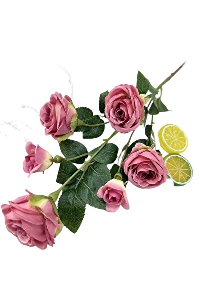 Generic Pack Of 2 Artificial Roses for Home Decoration Cameo Brown