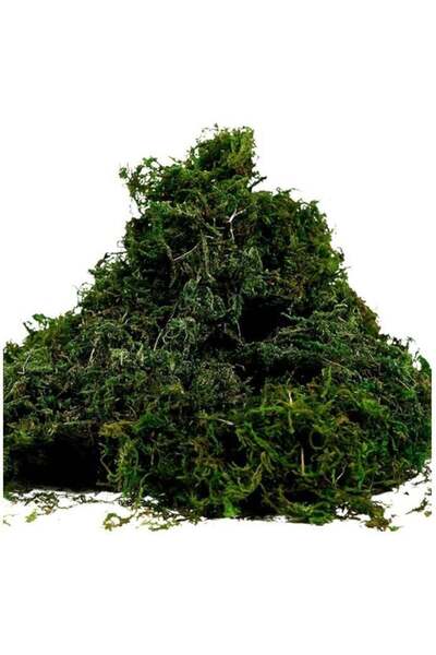 Generic Artificial Moss Fake Green Grass for Centerpieces Home Kitchen Garden...