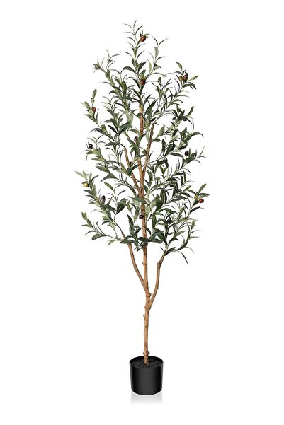 Generic Artificial Olive Tree 5FT Tall Faux Silk Plant for Home Office Decor ...