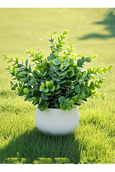 Generic 1-Piece Artificial Plant With Pot For Home Desktop Decoration Green/W...