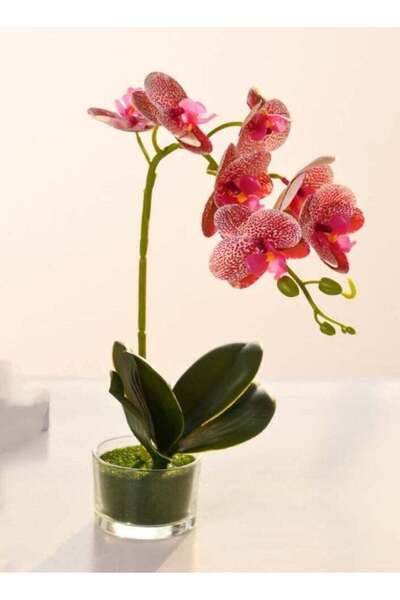 Generic Artificial Flowers Butterfly Orchid Potted Artificial Plant Bonsai Su...