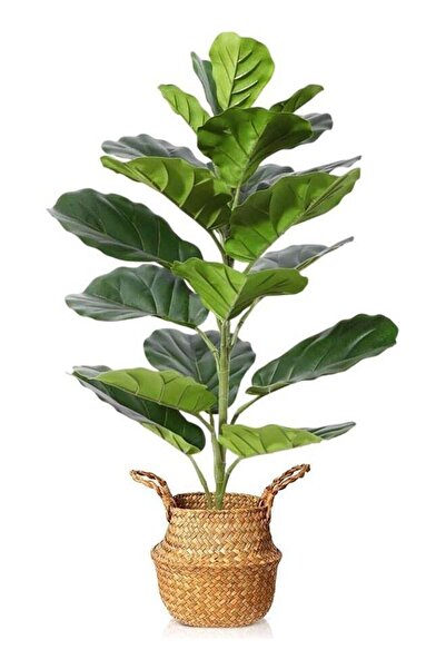 Generic Artificial Plants 70cm Fake Fiddle Leaf Fig Tree, with 21 Leaves in P...