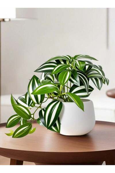 Generic 1-Piece Simulation Potted Decorative Artificial Bonsai Plant Green Le...