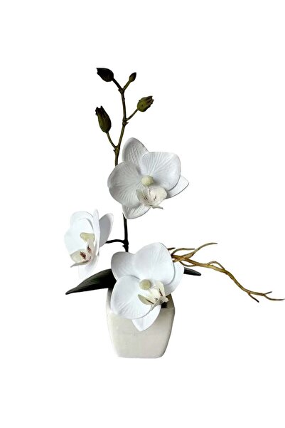 Generic Artificial Phalaenopsis Whiskers Mini Potted Beauty White