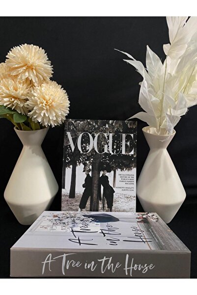 DecoZel Decorative Book Box Set of 2