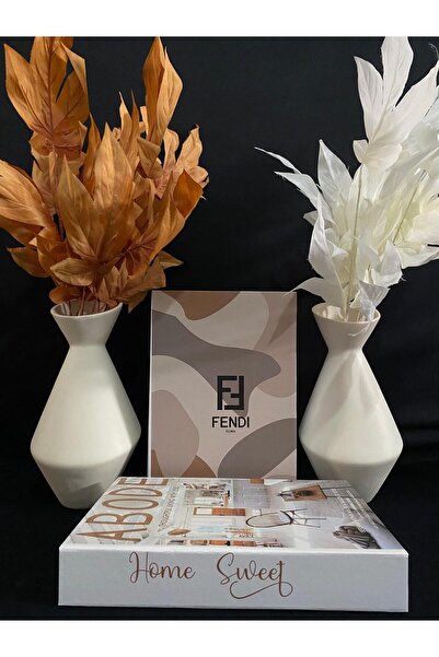DecoZel Decorative Book Box Set of 2
