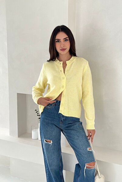 Noi Belis Yumuşak Dokulu Bisiklet Yaka Triko Hırka AW25HI0001