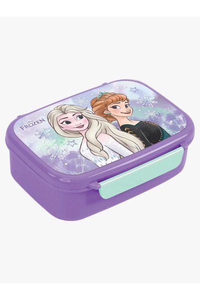 Frozen Lunch Box – Compact Insulated Meal Carrier for Kids and Adults