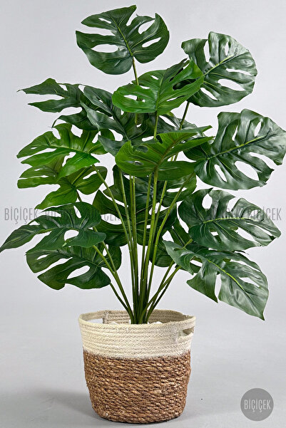 BİÇİÇEK Yapay Monstera Deve Tabanı 65-70 cm