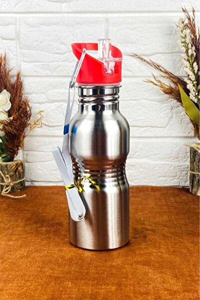 Mrt Mylee Steel Water Bottle with Straw 500ml