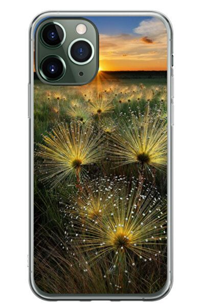 Atlas Husa personalizata 360 de grade pentru Apple iPhone 11 Pro, Nice View #...