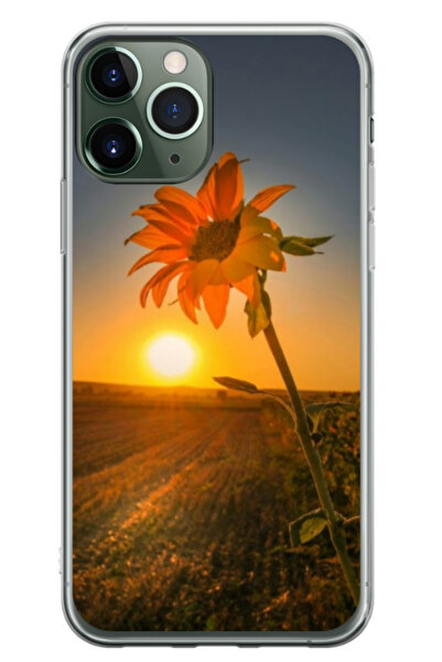 Atlas Husa personalizata 360 de grade pentru Apple iPhone 11 Pro, Sunflower #...