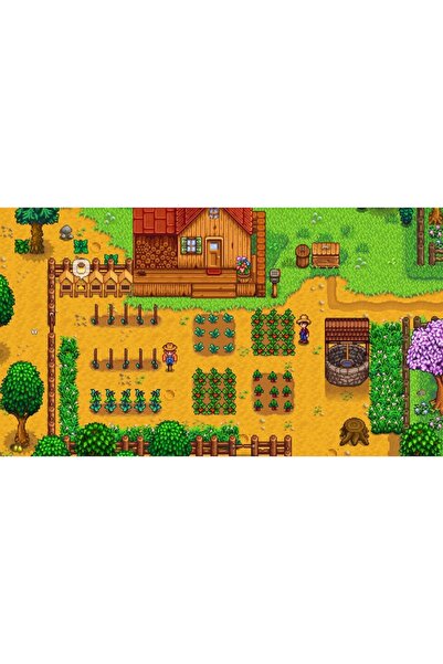 Chucklefish Παιχνίδι Stardew Valley στη Νέα Νότια Ουαλία