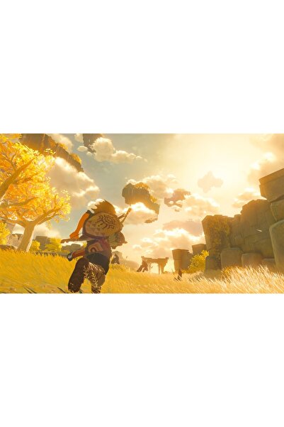 Nintendo The Legend Of Zelda Tears Of Kingdom Collectors Edition για το Switch