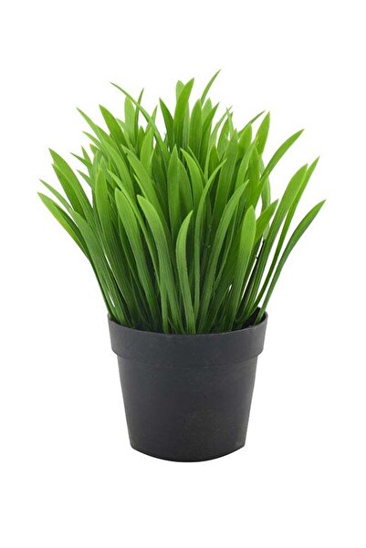 DRAMA HOME نبات اصطناعي في وعاء أخضر/أسود