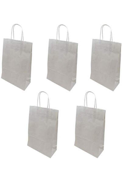 Generic 10-Piece Paper Bag Set White standard
