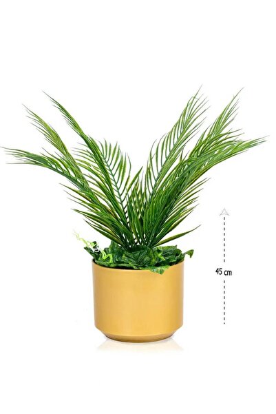 Arma شتلات أوراق النخيل، ارتفاع 45 سم