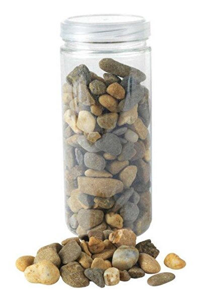 Generic Decorative Stones Natural 1 Lb Multicolour