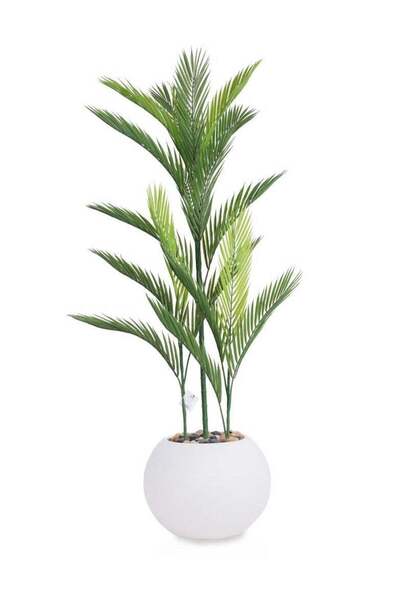 Arma شجرة اصطناعية تحاكي شجرة أريكا الخضراء في الشكل والملمس