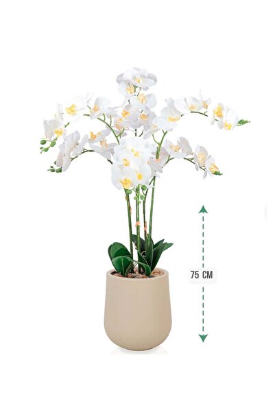 Arma شجرة الأوركيد في وعاء بلاستيكي بقطر 75 سم