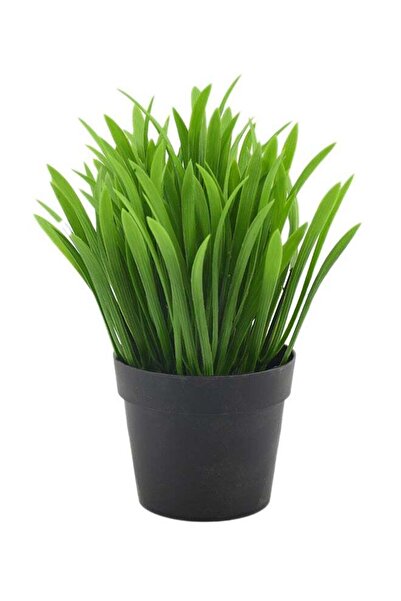 Generic Decorative Artificial Plant With Base Green/Black 20x10cm