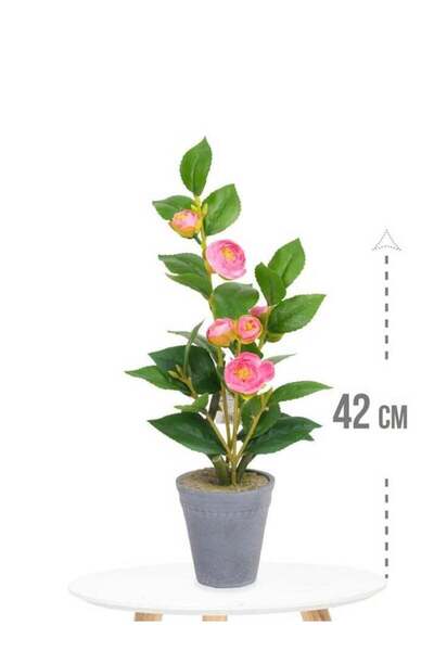 Arma أواني الزهور، ارتفاع 42 سم